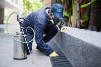 Marks Mosquito Pest control Sydney image 4